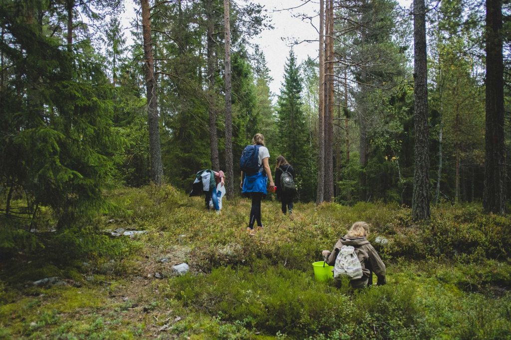 turer-gronavikjo
